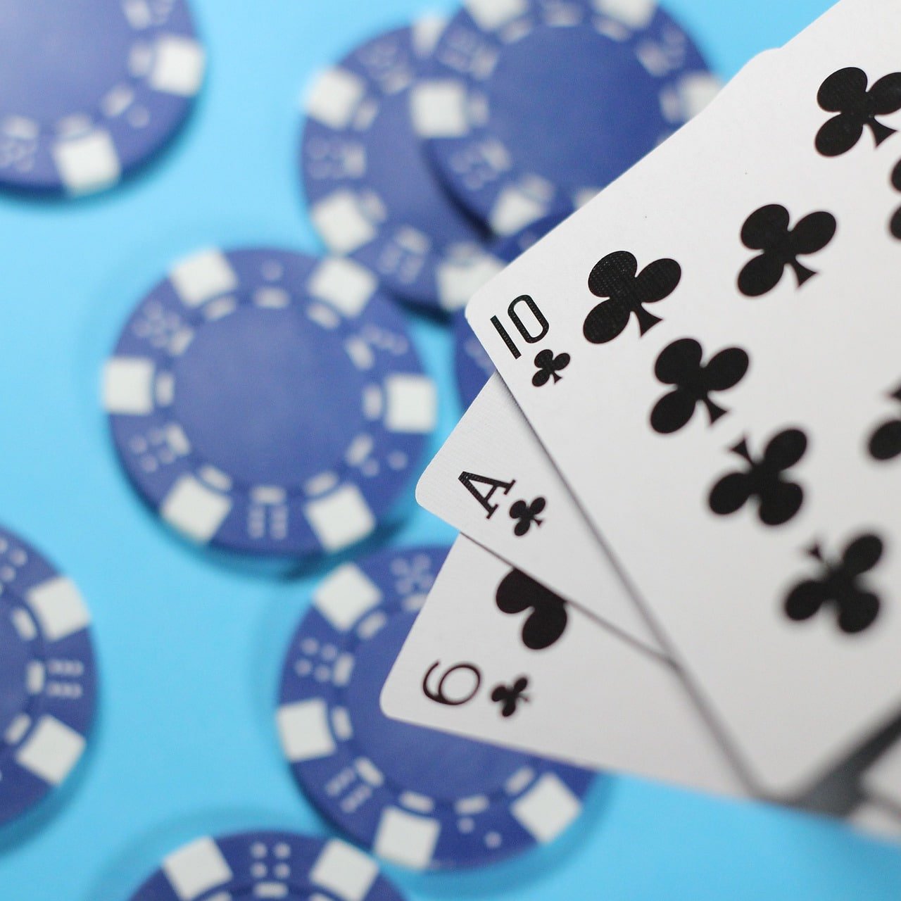 9j casino
